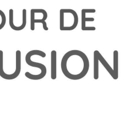 BV Amboise - VISIO d'organisation d'un mini carrefour de l'inclusion
